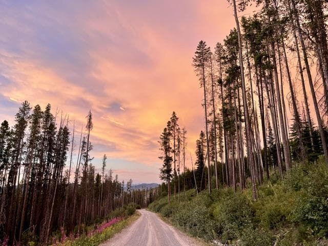 Madeline May - Physical Therapist